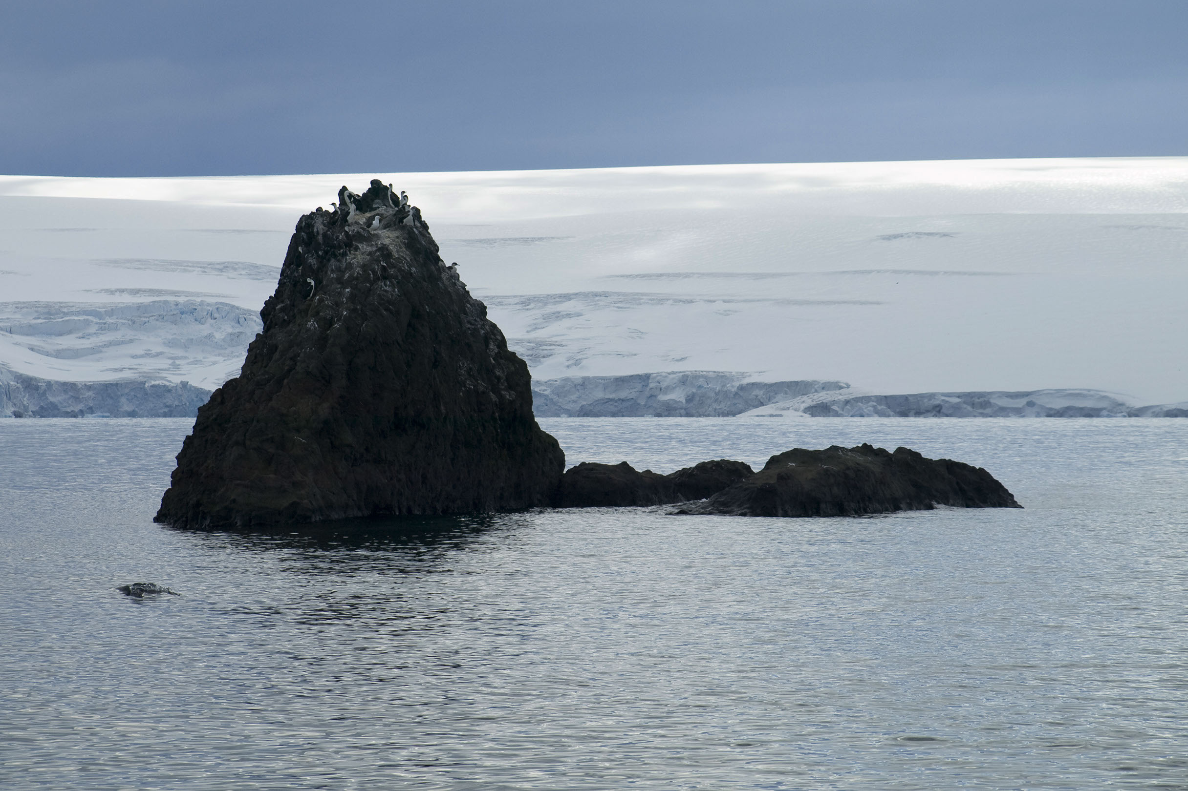 Graphiqa slideshow background of a rock with penguins on Antarctica. Photo by Marinka Hulshof ©2010.